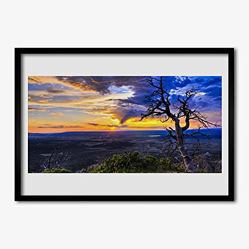 Photo image Arbre de soleil affiche encadrée 70x50 de qualité MDF