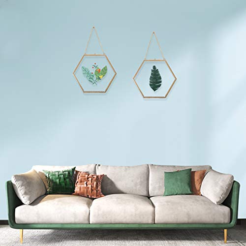Longwin 2Pcs Gold Glass Pressed Flower Frames Brass Hexagon Shaped Hanging Wall Decor Floating Frame For Dried Leaf Plants Specimen Herbarium Artwork Double Side Glass Frame, Glass Frame Only 9.4In #TOP3