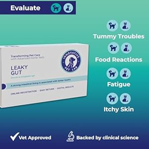Leaky Gut at-Home Test Kit for Dogs and Cats – Pet Essential for Digestive Health Solution