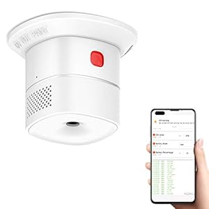 HEIMAN WLAN Kohlenmonoxidmelder mit Tuya App