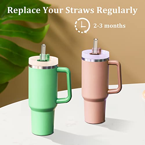 Image of Replacement Straws for Stanley 40 oz and 30 oz Tumblers,6 Pack Reusable Straws with Cleaning Brush,12 Inch Long,Plastic,Clear, Stanley Cup Accessories