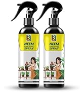 Small manufacture image 9