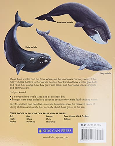 Whales: Killer Whales, Blue Whales and More (Kids Can Press Wildlife Series) - Image 2