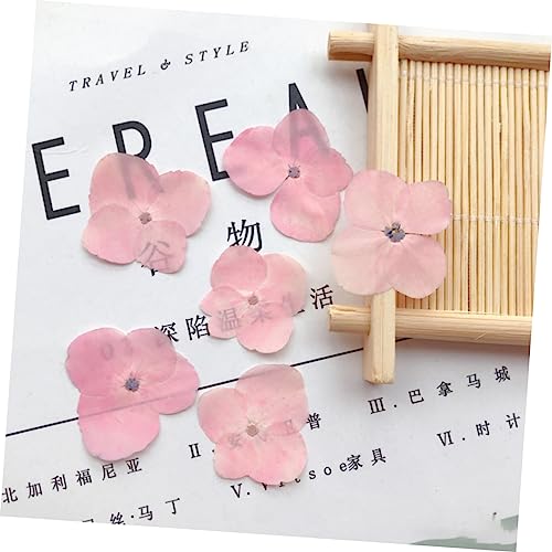 30 piezas de flores secas prensadas para decoración DIY miniatura 3