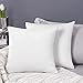 Deconovo Federe Cuscini 50x50 CM per Divano Camera da Letto, Copricuscini Arredo Casa, Fodere Moderne Elegante Morbido Resistente, in Velluto, con la Cerniera Invisibile, Set da 2, Bianco