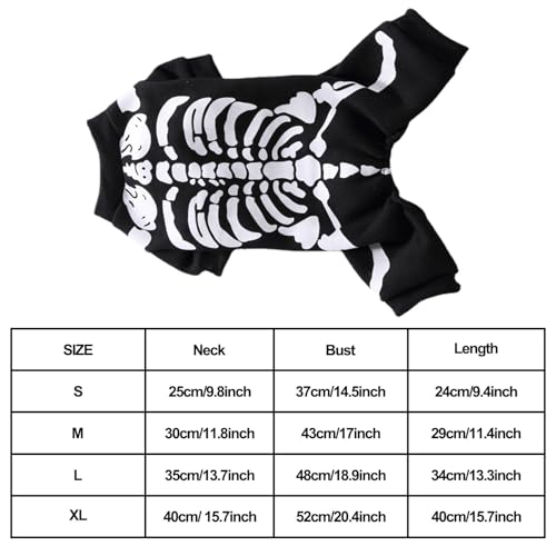 Photo complémentaire