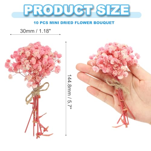 Mini ramillete de flores secas PATIKIL, 10 piezas, color rosa miniatura 2