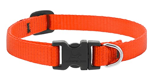 Collar para perro pequeño Lupine 1/2" ancho naranja blaze