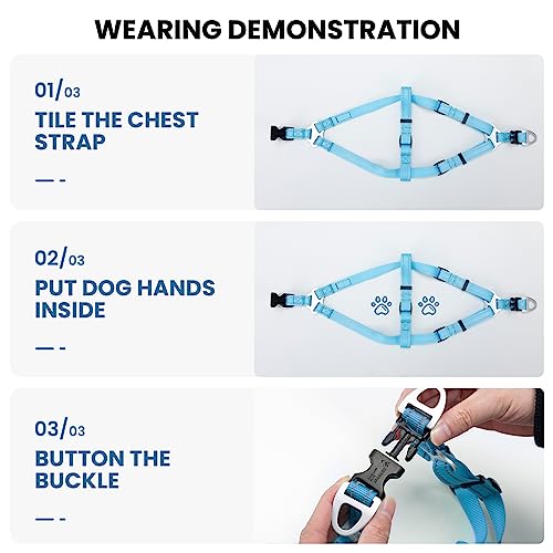Excellent Elite Spanker No Pull Dog Harness Adjustable Nylon Step-In Easy Pet Vest Chest Strap With Reflective And Leash Ring For Small Medium Large Breed Dogs Training Walking(Blue-S) #TOP6