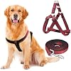 Reflective No-Pull Dog Harness and Leash Set for Small Dogs - Quick-Release Buckle, Adjustable Step-in Design with Double D-Rings for Walking, Running, Training Vest Puppy Harness Red