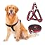 Harness+Leash-Red1