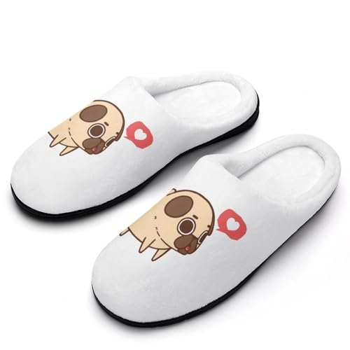 [ZKCASA] Xbp Aj Aj}  pO  GObY [V[Y   qp h  g 􂦂 ~ jp I[V[Yp 13-14i46-47j