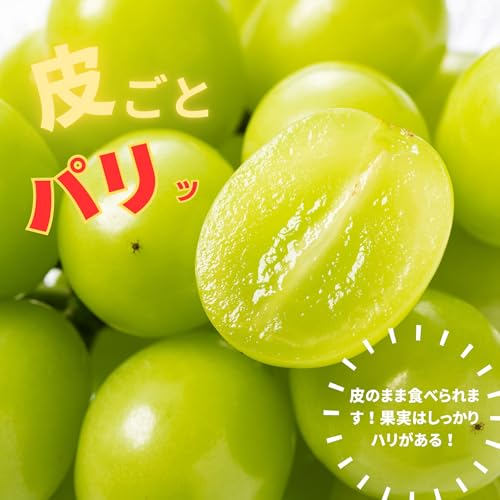ノーブランド品 シャインマスカット 晴王 岡山県産 の商品画像 3