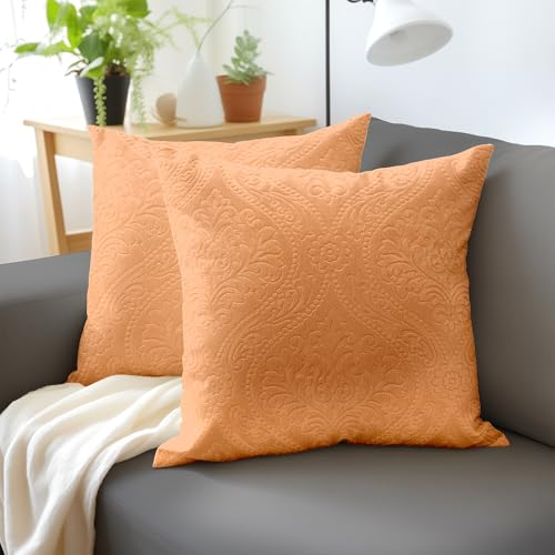 Encasa XO Housse De Coussin pour Canapé 40x40 cm Pêche en Velours Gaufré de Housses de Coussin Douces et Chambres Élégants | Lot de 2 | Uniquement des...