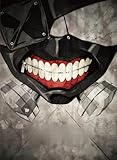 Tokyo Ghoul- Key Art Kaneki Mask Ss Wall Scroll 18.5'X25.2'