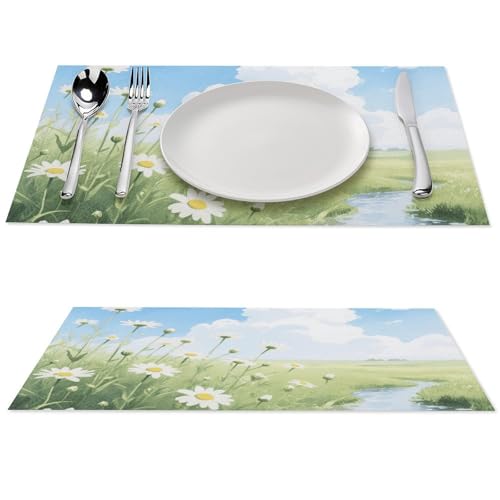 Sets de table en PVC lavables et antidérapants pour protéger votre mobilier