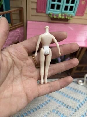 Amazon.co.jp: アイシードール カスタム 交換用 ボディ 2体 プチ