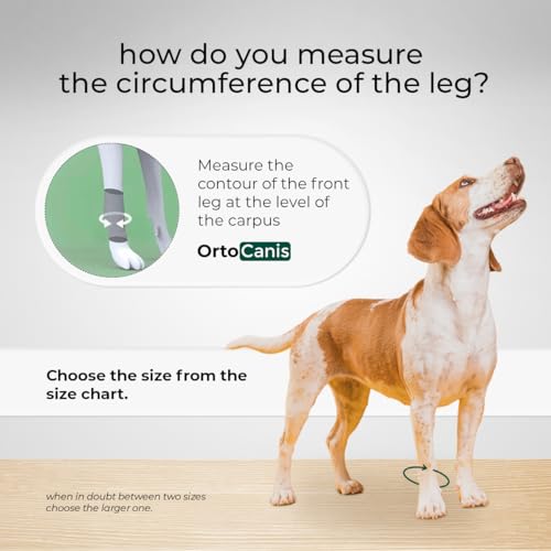 Ortocanis - Karpalgelenk-Bandage für Hund - Arthrose, Bänder- und Sehnenverletzungen oder Agility-Hunde - Hergestellt aus Neopren ARD - Größe L 17-19 cm