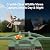 Smart Bird Feeder with Camera Solar Powered Outdoor - 2K HD Live Video, AI Bird ID, Squirrel-Proof, Instant Alerts & IP65 Weatherproof Outside, Great Gift for Familys & Friends