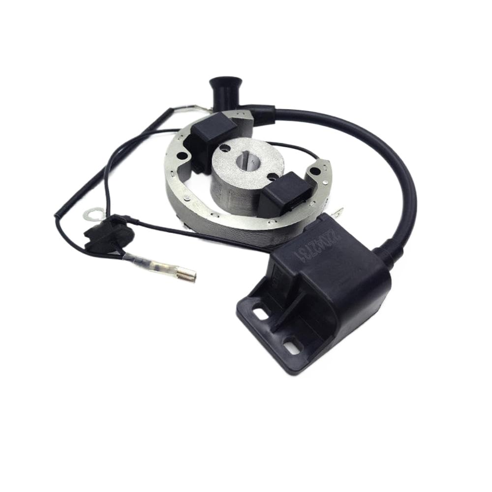 SX50 50cc 2 brote de motor de motor Magneto Magneto El volante del estator del volante compatible con bicicletas de boxes 2002-2008
