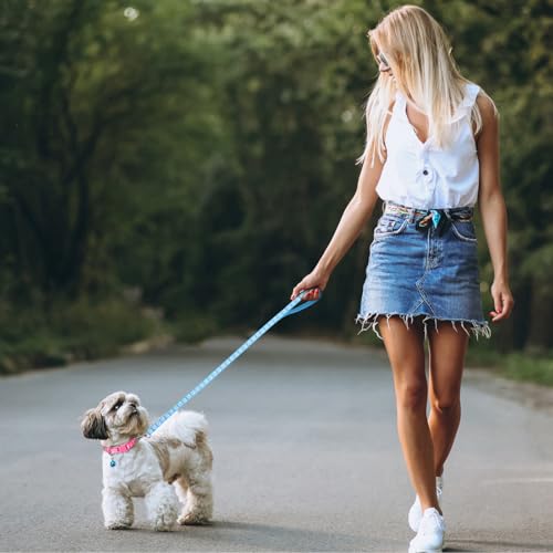 3 Stück Hundehalsband und Leine Set, Welpenhalsbänder mit Leinee, Verstellbares Hundehalsband mit Leine Weich Welpen Schnellverschluss Nylon Haustier Halsband für Kleine Hunde Mittlere