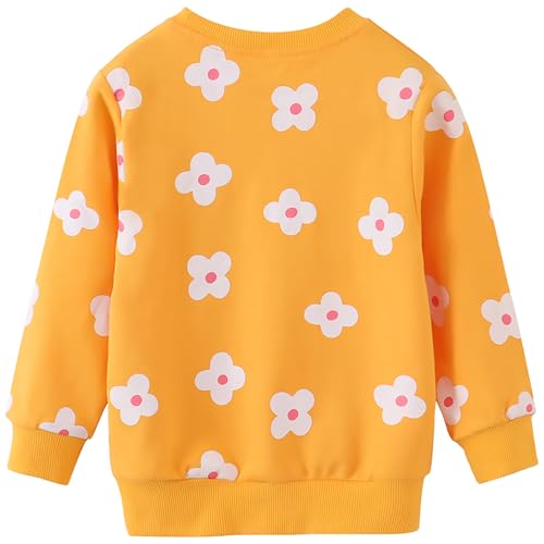 Image of AIWUHE Toddler Cotton Sweatshirt Boys Girls Pullover Long Sleeve Tops 2-6Y