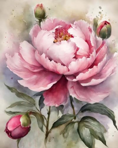 ZMHZMY DIY Oil Painting Paint by Number Kit Frameless Blooming Peonies Paint by Numbers Oil Painting Canvas Print Wall Art Home Decoration