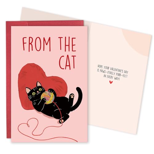 Qiavor Happy Valentine's Day Card from Cat, Romantic Valentines Card for Cat Lover, Kitty Vday Gift for Woman Man