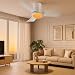 Imagen de activeallbrite Ventilador de Techo, 15W LED