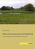 muldentalbahn schienentrabi  Fuehrer durch das gesamte Muldental: von Freiberg und Schneeberg bis Wurzen