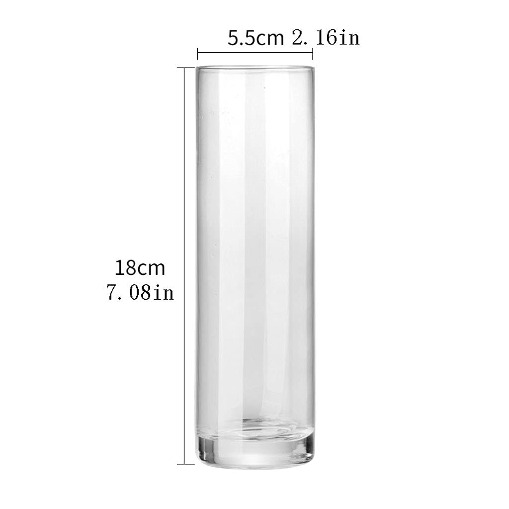 Szklanki Highball Okulary, Kubek szklany, Ołowiu Bezpłatne Okulary do picia Tumblery do napojów Mieszanych, Woda, Juice Piwo, Koktajl (2 szt) Szklanki do wody Szklanka barowa