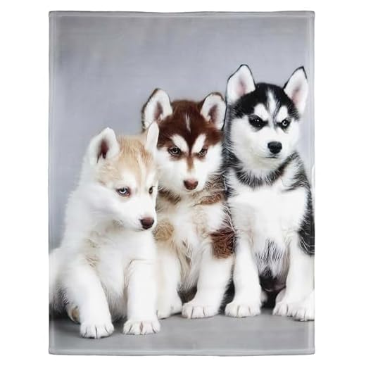 YISUMEI - Mjuk fleecefilt - Siberian Husky valpar hundar husdjur, 150 x 200 cm överkast lämplig för säng eller soffa