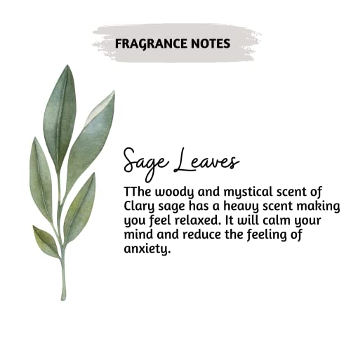 Folkulture White Sage Incense Sticks - Pack Of 75 Insenses For Cleansing- Natural And Non - Toxic Inscents Sticks For Relaxation - Slow Burning Aroma Sticks For Meditation (White Sage) #TOP3