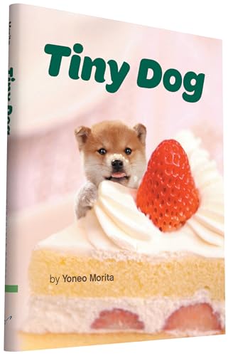 Tiny Dog view 2