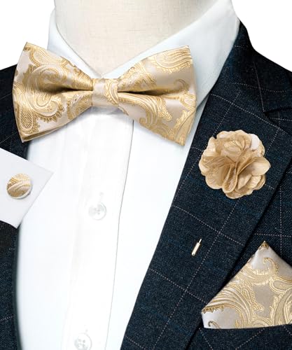 Image of RBOCOTT Paisley Bow Tie and Pocket Sqaure Set with Lapel Pin and Cufflinks for Men