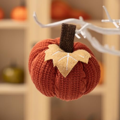 Citrouilles Thanksgiving Morain déco durable sans entretien