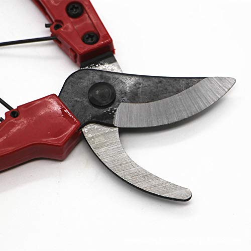 Tijeras de podar de Acero Inoxidable, Herramienta de injerto de jardinería, Herramientas de poda de árboles frutales, Tijeras de podar Antideslizantes para podar Jardines