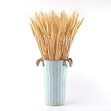 The total length of the natural wheat is about 54 cm (21.2 inches), wheatear length is about 6-8cm, suitable for you to make all kinds of DIY crafts NATURAL: Picked by farmers from the wheat fields, bathed in the sun, and dried naturally. Without any...