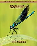 dragonfly tattoo  Dragonfly: Amazing Facts and Pictures about Dragonfly for Kids