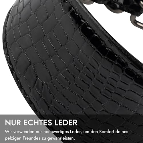 FAVPET Luxus Echtleder Windhund Halsband Breit mit QR Code Anhänger, Weiches Lederhalsband Hund Breit Whippet Italienisches Windspiel Saluki Lurcher Spanischer Galgo Greyhound Podenco (Schwarz, XS)