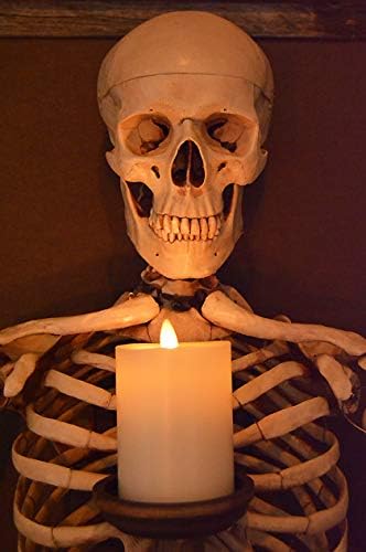 Framed 3D Life-Size Skeleton Torso Holding Flameless Candle