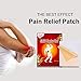 ifory Capsaicin Patches & Pain Patches, Heat Patches for Back, Knee, Neck, Shoulder, Muscle (M (3.94
