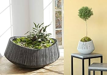 Amazon | ミュールミル プランター エディラウンド黒M TL012