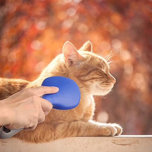 BOTH WINNERS Mane and Tail Brush for Horses and Dogs with Soft Touch Grip (BLUE) - Image 7