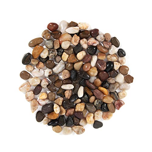 Lyaor 1KG Polierter Kieselsteine Dekosteine Kieselsteine Natur 0,8-1,5cm...