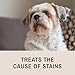 Eye Envy Tear Stain Remover Solution for Dogs. 100% Natural, Safe. Treats The Cause of Stains. Recommended by AKC Breeders, Vets, Handlers, Groomers. Contains Colloidal Silver. 4 oz. Made in USA