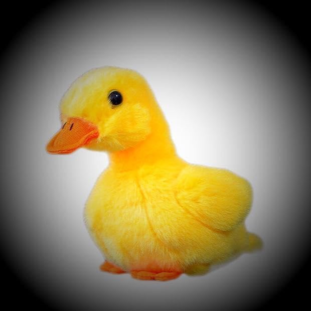 Peluche canard jaune affectueuse - Le doudou des premiers câlins - 5
