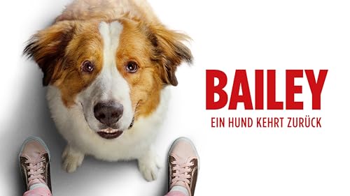 Bailey - Ein Hund kehrt zurück