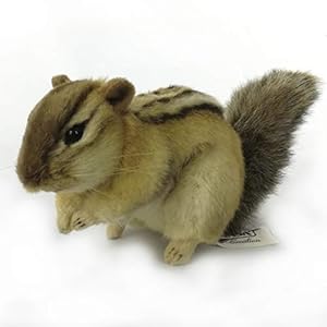 BH7843 HANSA シマリス２５" 