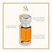 Swiss Arabian Amaani - Luxury Products From Dubai - Long Lasting And Addictive Personal Perfume Oil Fragrance - A Seductive Signature Aroma - 0.4 Oz